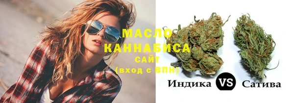 индика Армянск