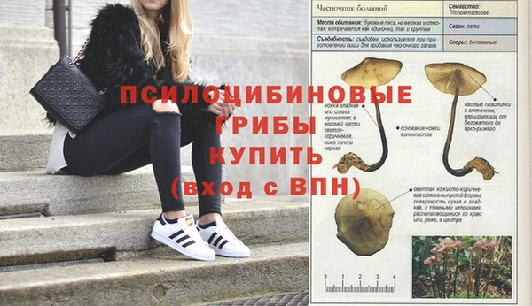 индика Армянск