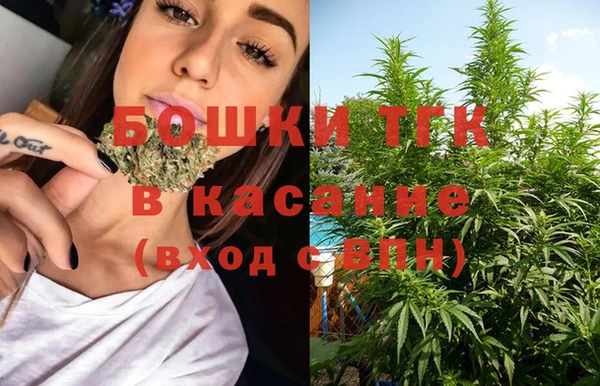 индика Армянск