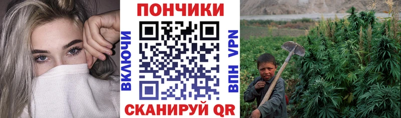гидра tor Минеральные Воды Канабис Bruce Banner